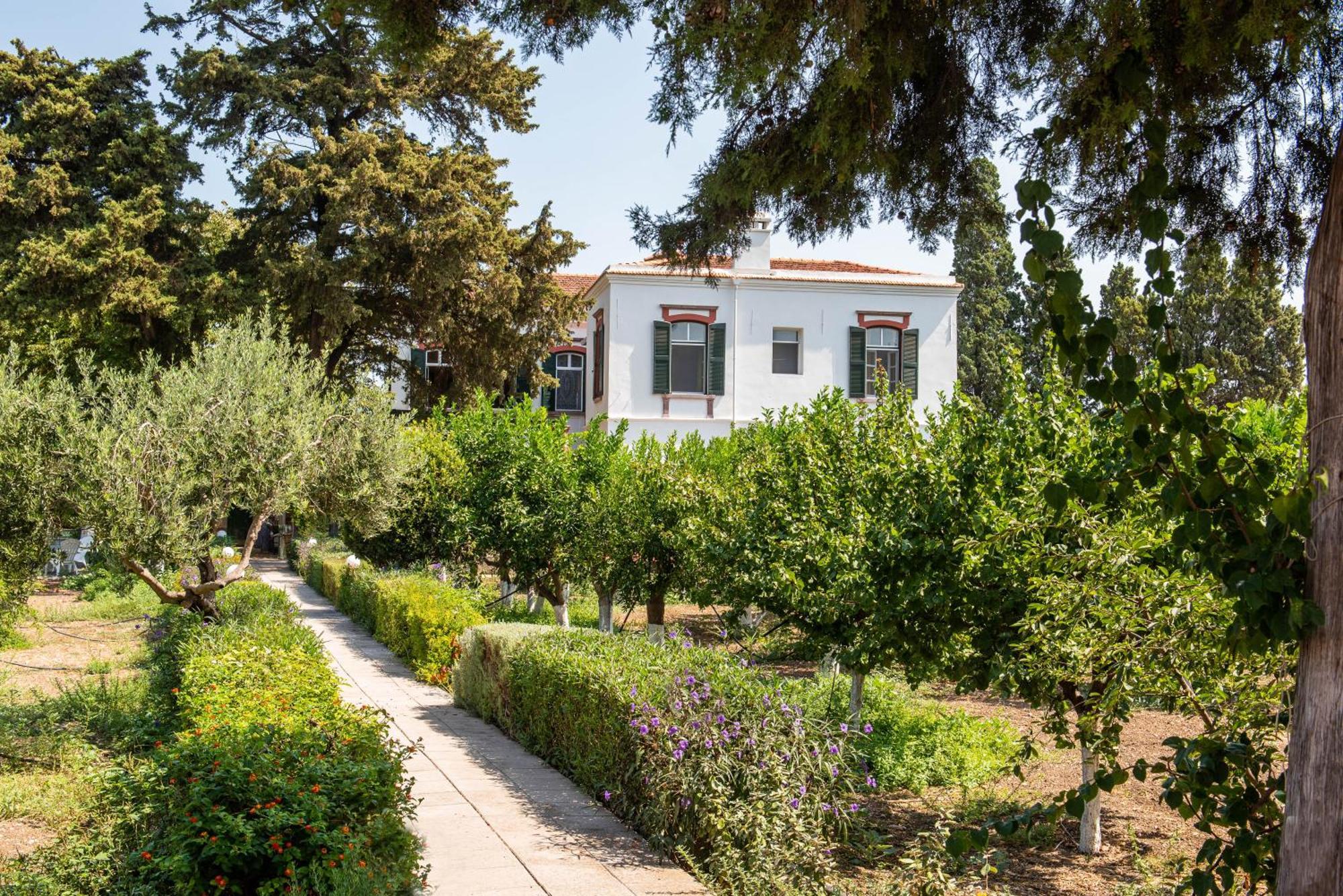 Calvocoressi Estate Хиос Экстерьер фото